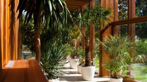 Zimní zahrada - detail