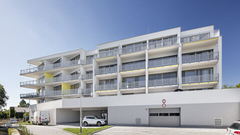 BD Kociánka, Brno 2016 1