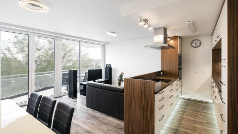 BD Kociánka, Brno 2016 2